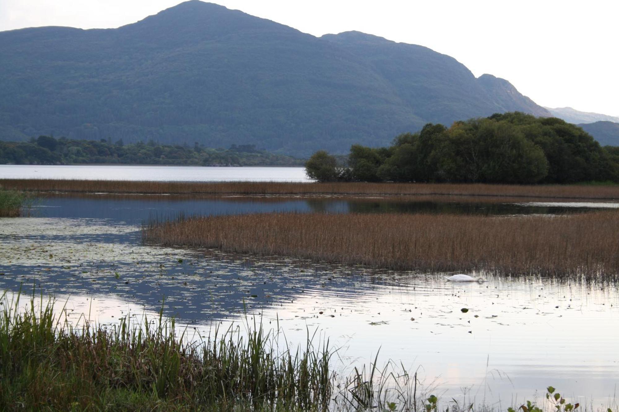 Innisfallen Holiday Homes By Trident Holiday Homes Killarney Habitación foto